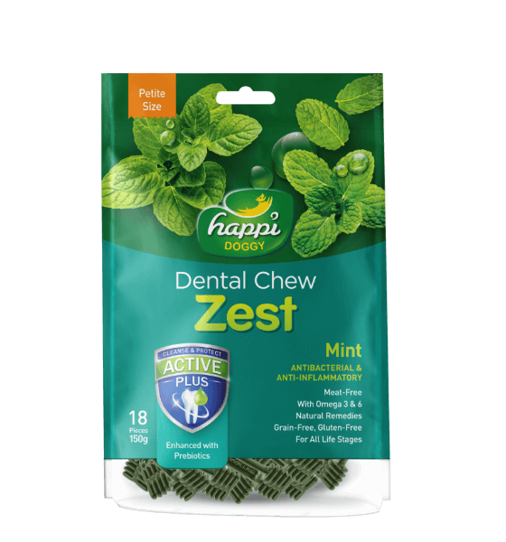 Happi Skippi Zest Mint Dental Chew Petite 150g Singapore