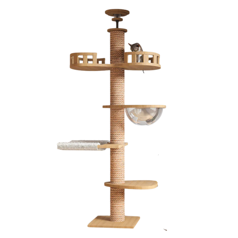 solid wood ceiling cat condo c space capsule 250 270cm in singapore