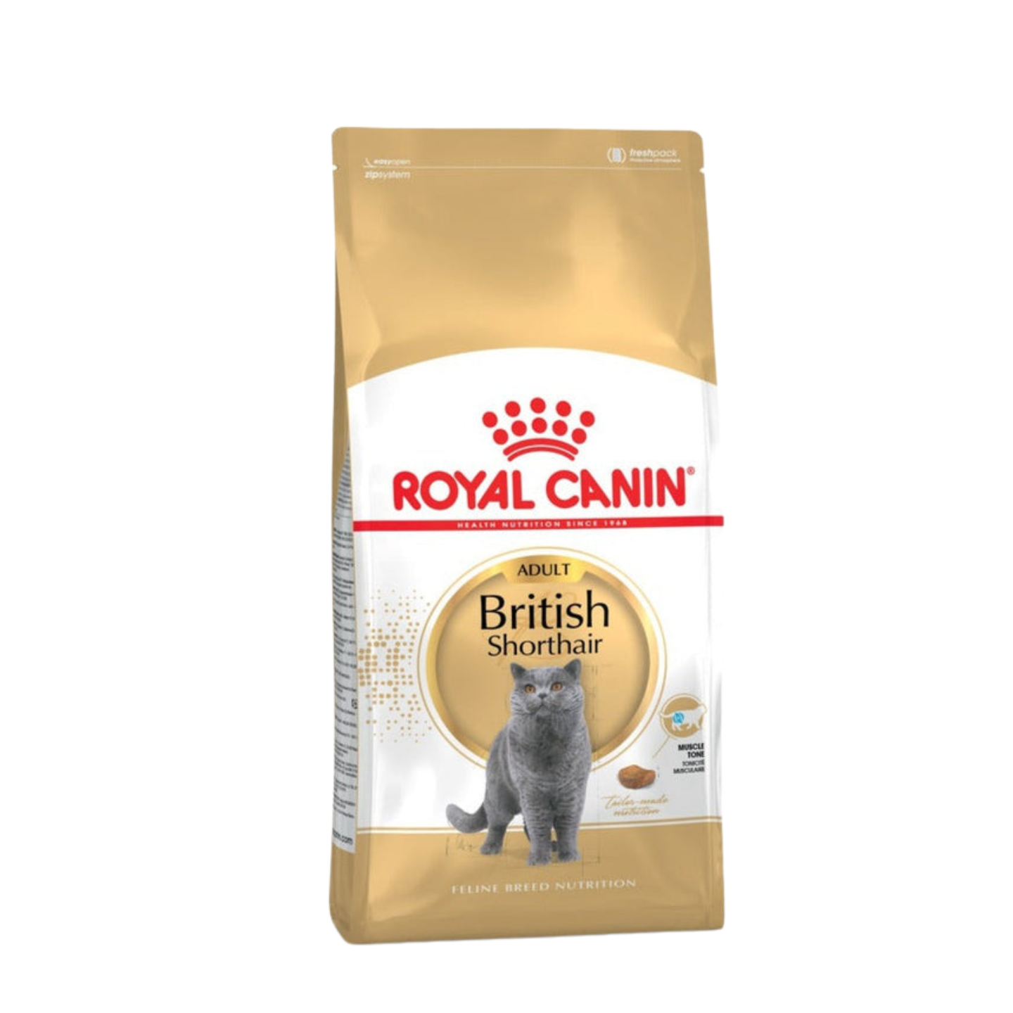 royal canin british shorthair adult cat food 2kg in singapore