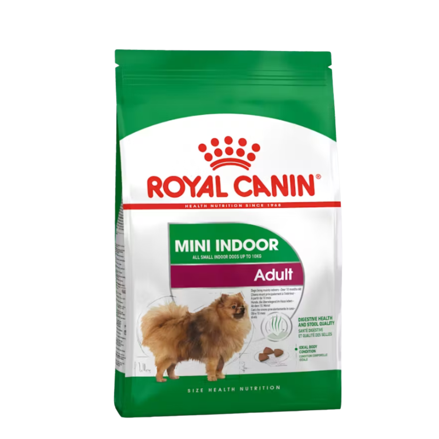 royal canin mini indoor adult dog food 3kg in singapore