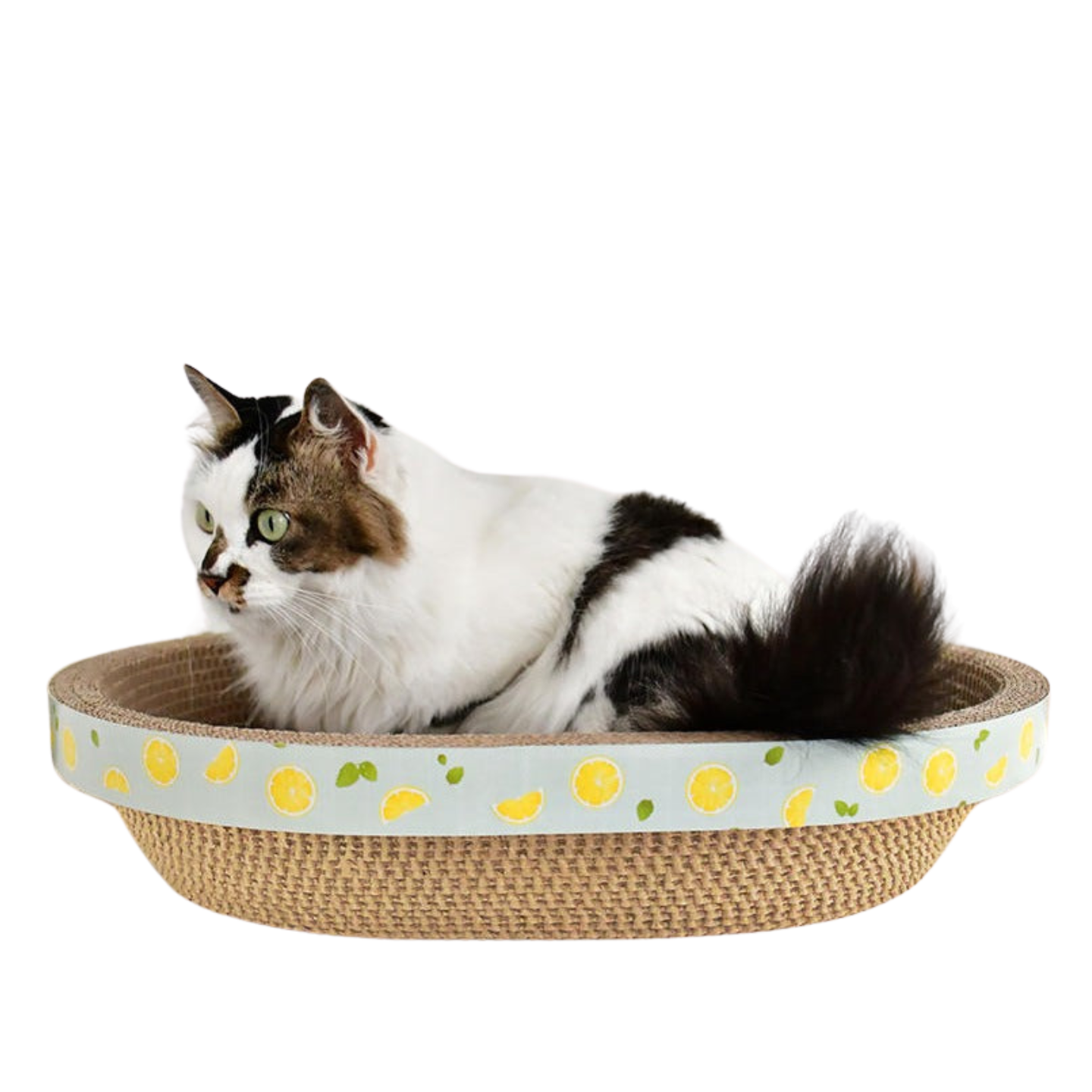 Serene Oval Cat Nesting Scratcher 58cm Sophisticated Bowl Bed Lounge Singapore