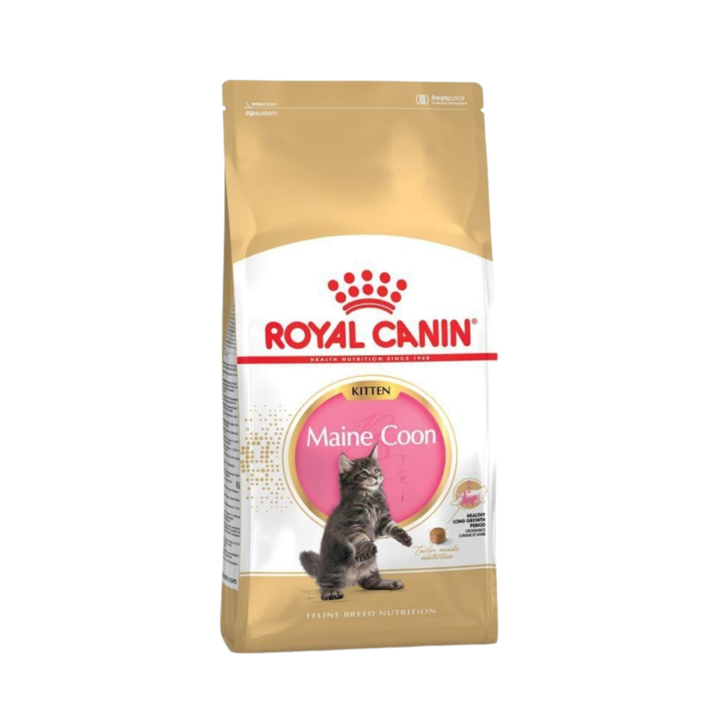 royal canin maine coon kitten cat food 2kg in singapore