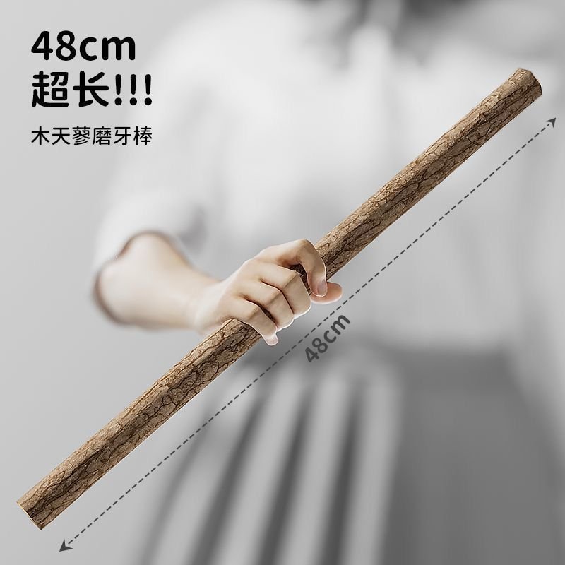 Extra Large Natural Silvervine Chew Stick 48cm for Cats Singapore | The Meow Mart