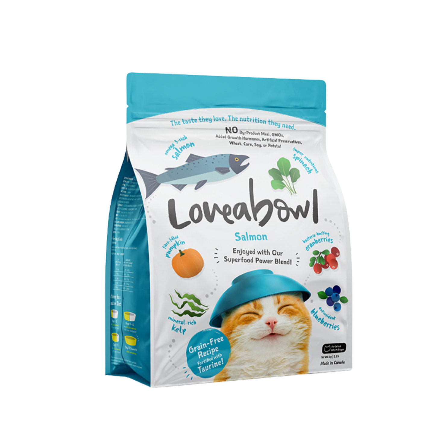 Loveabowl Grain-Free Salmon Dry Cat Food 1kg Singapore