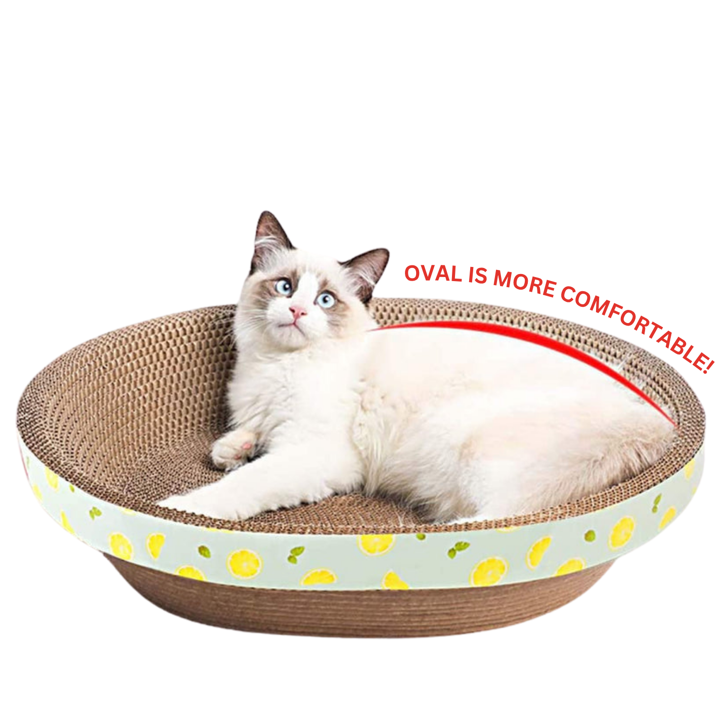 Serene Oval Cat Nesting Scratcher 50cm Bowl Bed Singapore | The Meow Mart
