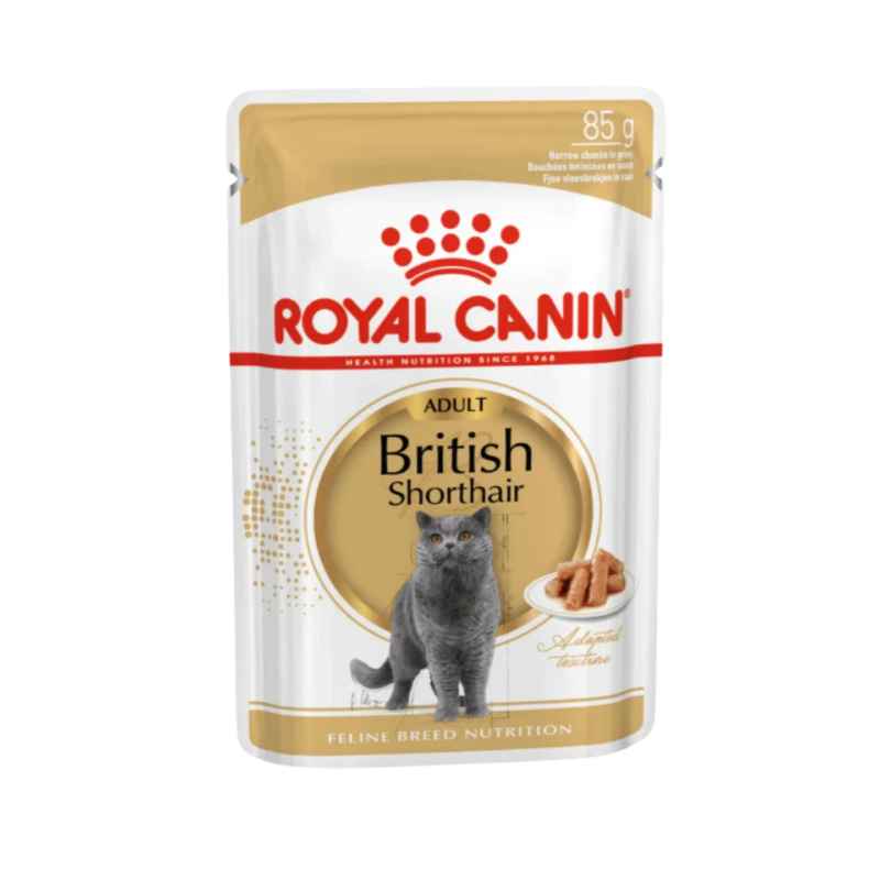 Royal Canin British Shorthair Adult in Gravy Wet Cat Food in Singapore