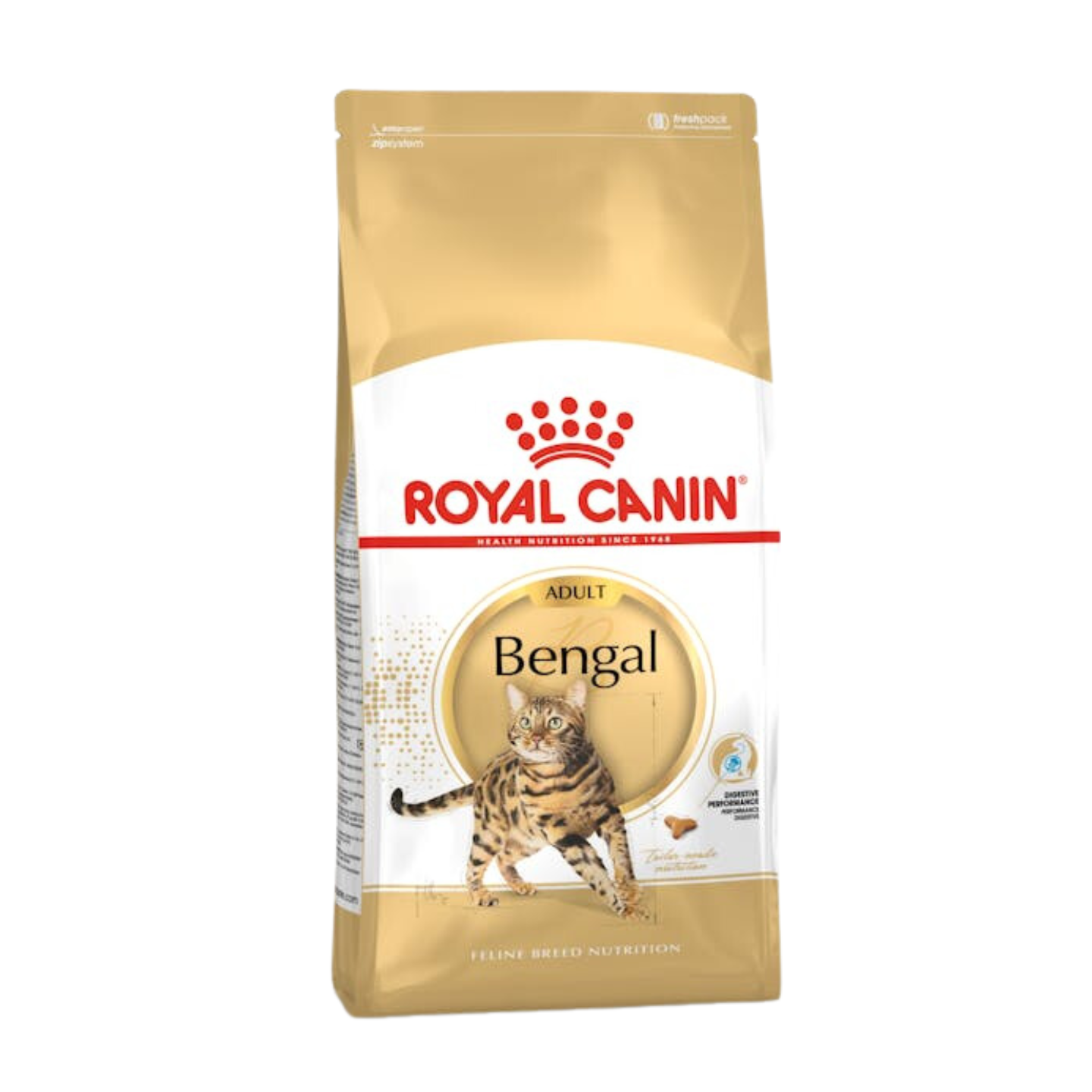 Royal Canin Bengal Adult Dry Cat Food in Singapore