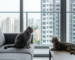 Cat Breeds in Singapore Guide